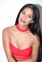 poonam pandey hot red dress photos%2B%2B%2B%25289%2529