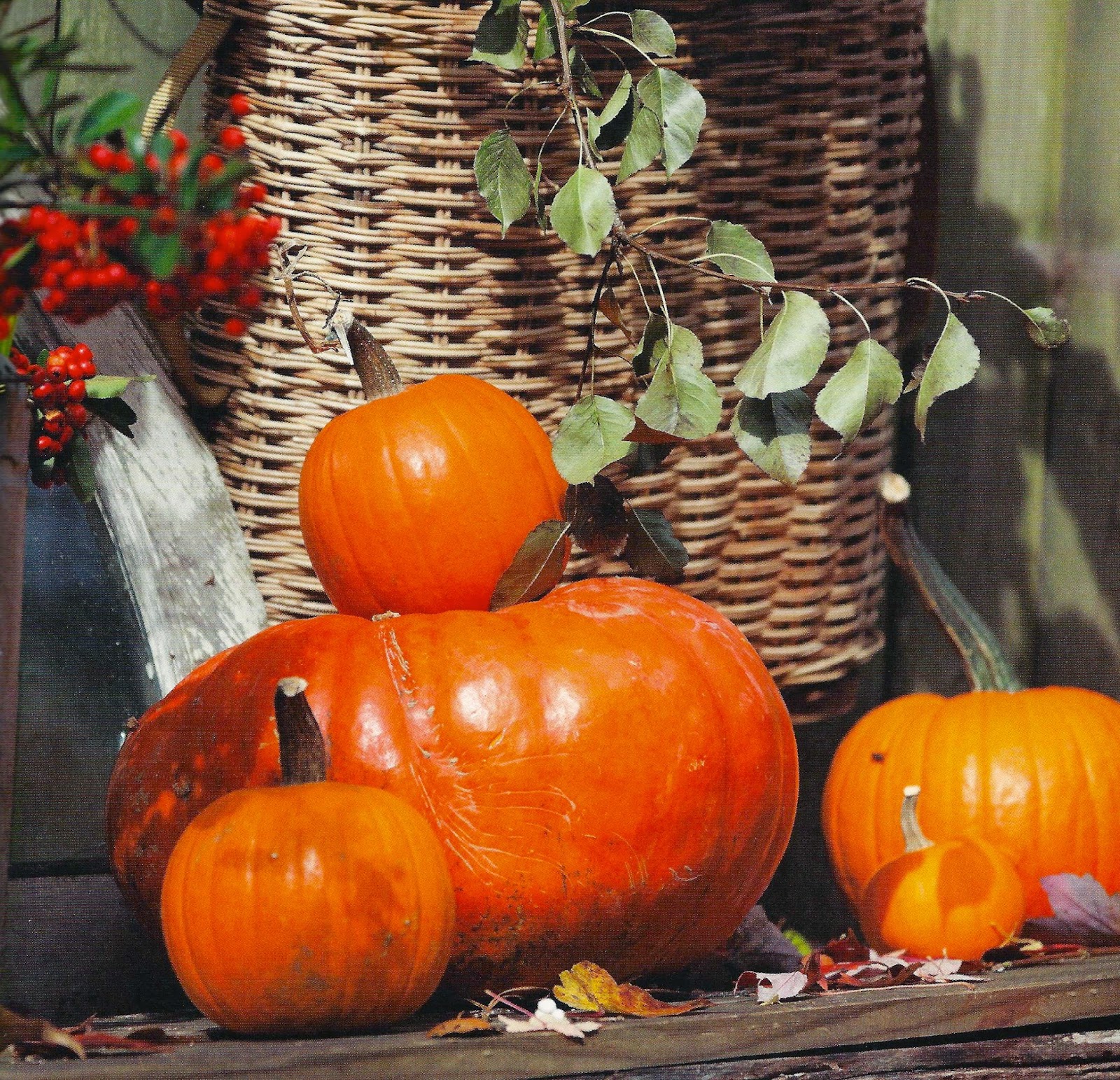 Vintage Mulberry: Finally, It's Pumpkin Time!