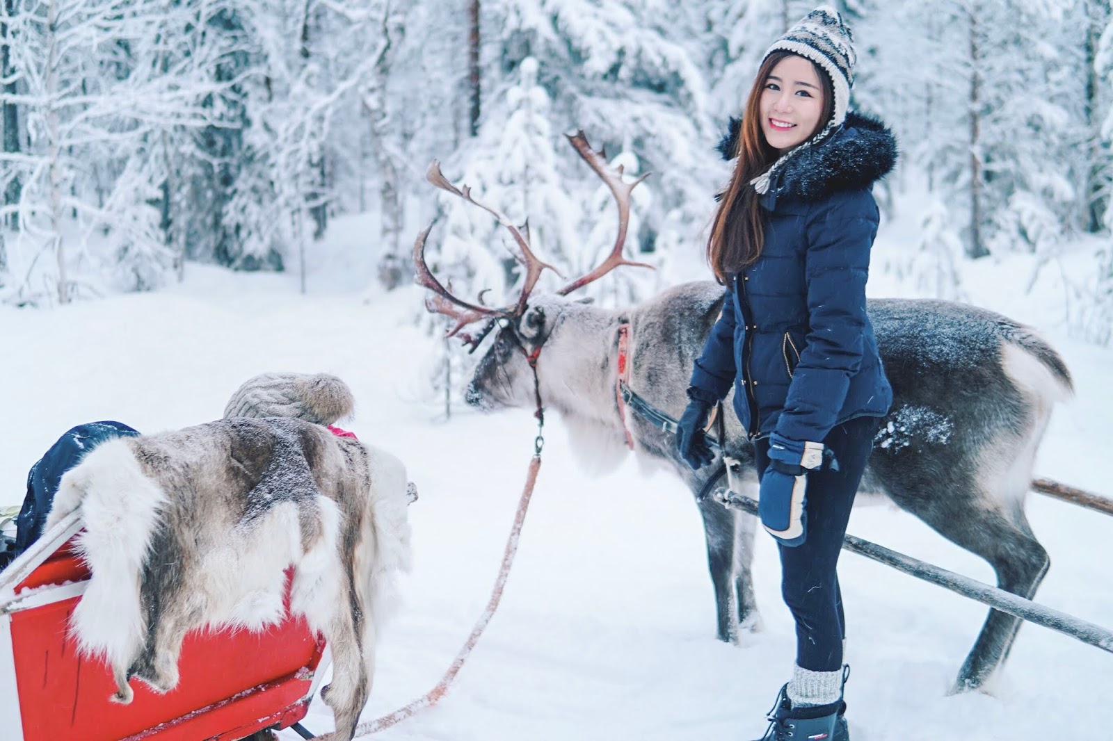 Lapland Christmas Things to Do wanderchu