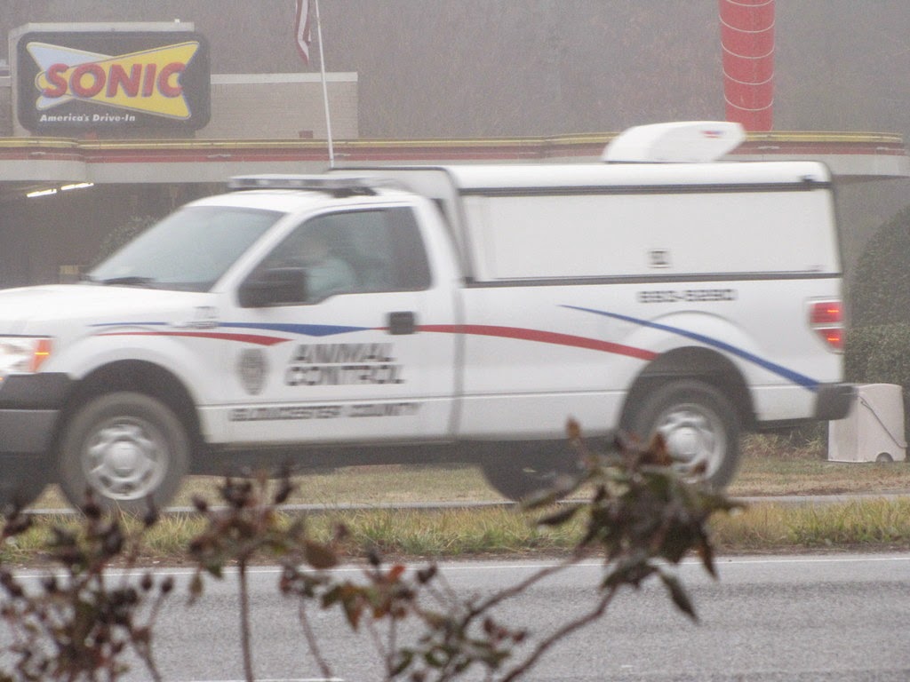 Gloucester VA Links and News Gloucester, Virginia Animal Control Still