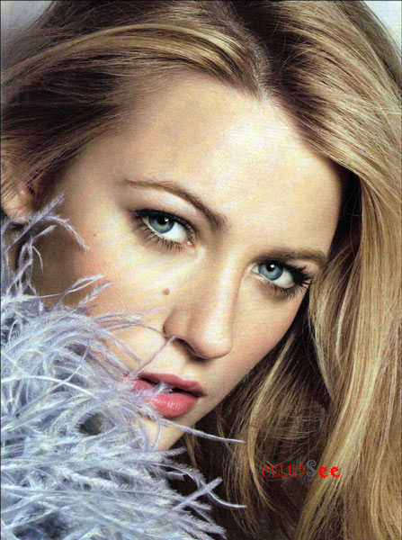 Blake Lively Hollywood Celebsee Hollywood CelebSeeHollywood Celebsee
