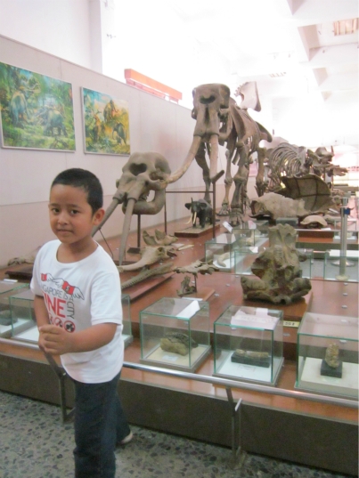wisata edukasi museum geologi