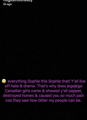 2 "Nigerians live off hate & drama," Sophia Momodu insists as she denies being at war with Davido's new babymama