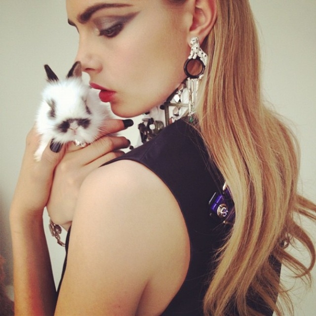 TrendedWeekly Pussycat Pussycat By Cara Delevingne