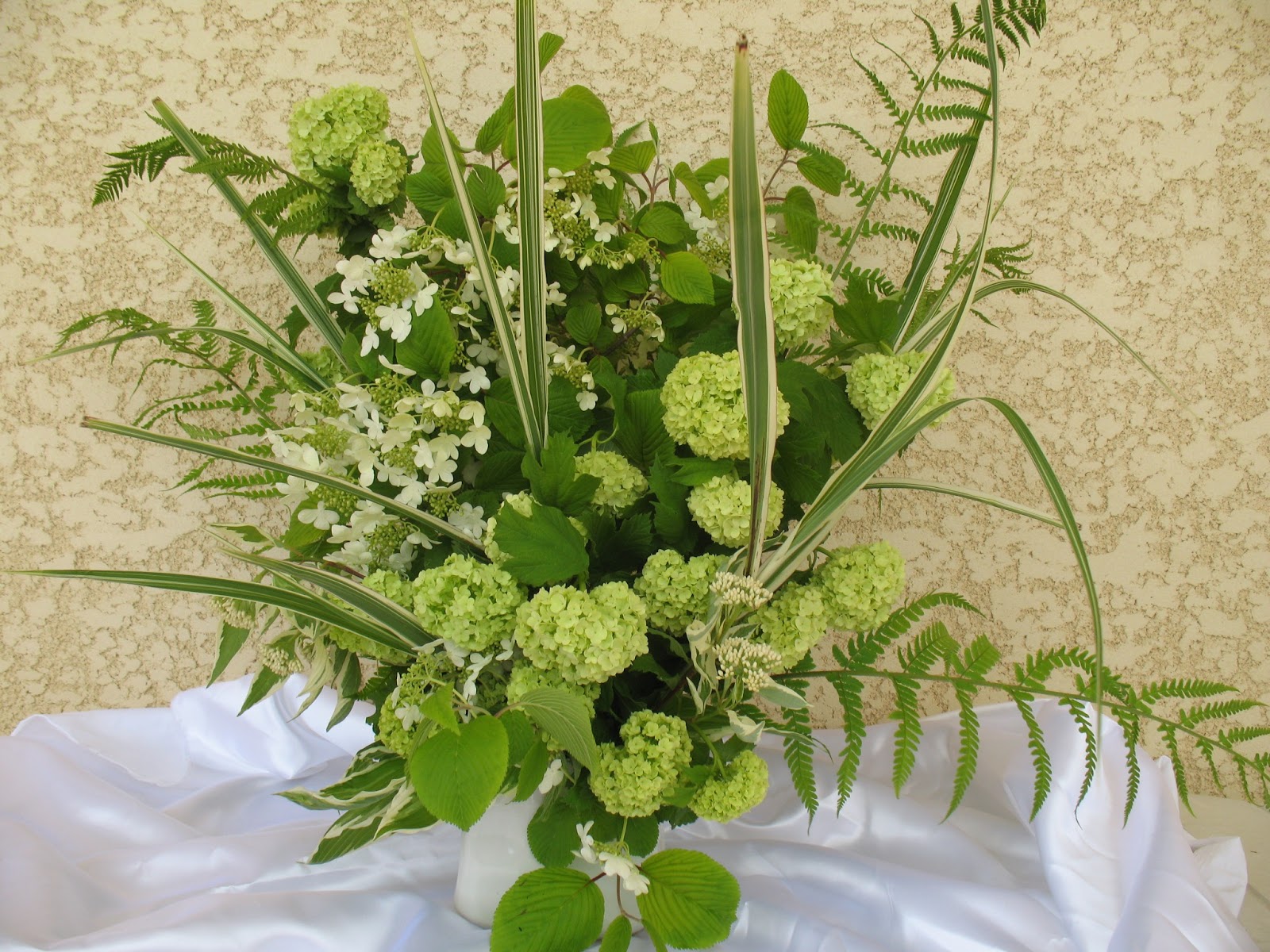 Ma Planete Jardin La Viorne De Burkwood Pour Sa Floraison