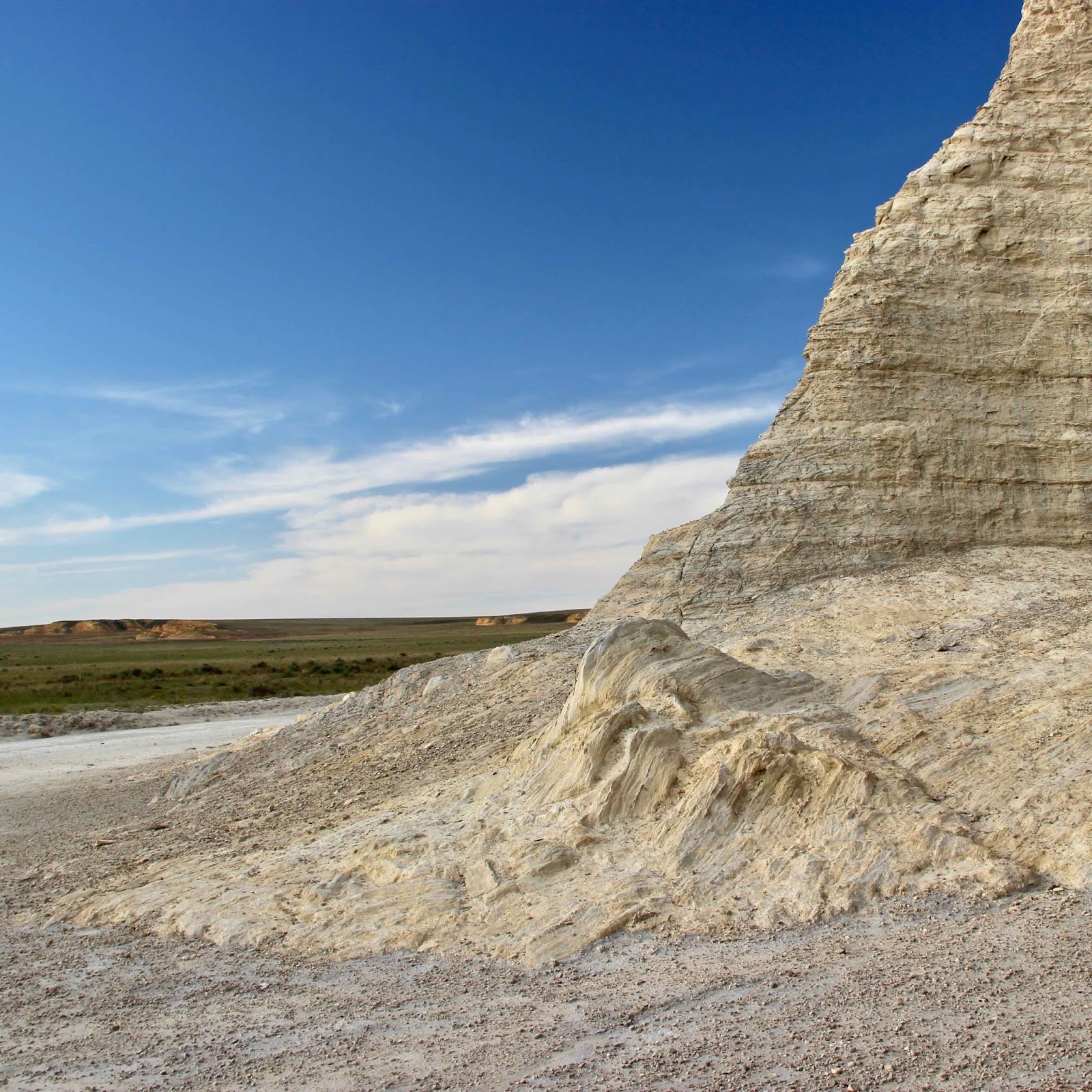 In the Company of Plants and Rocks To Kansas to See the Chalk