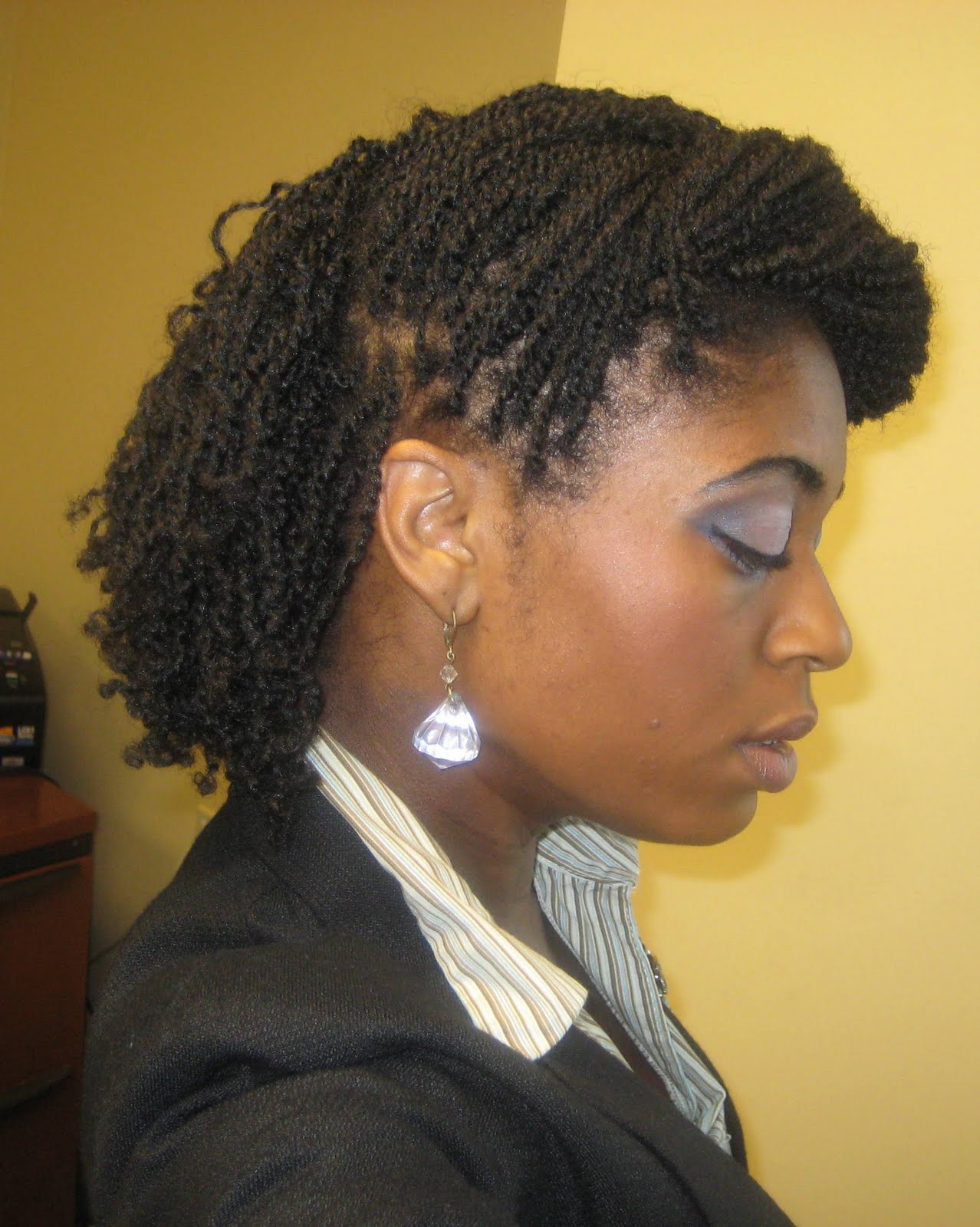 Naturally Elegant Hairstyle Mini Twists