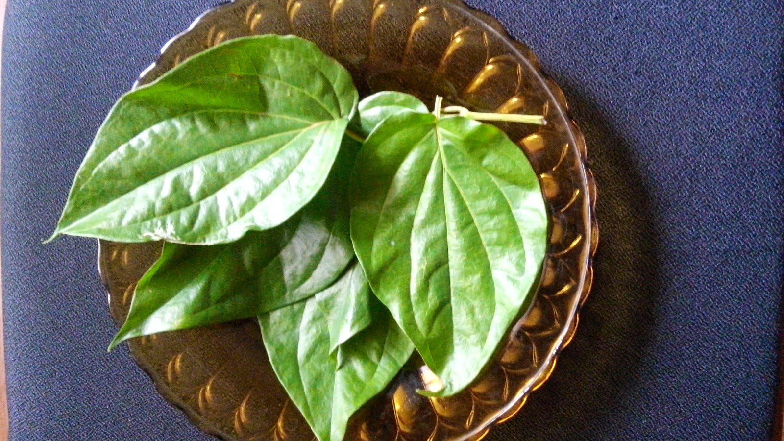 DAUN SIRIH untuk obat batuk ~ RINDDIANY