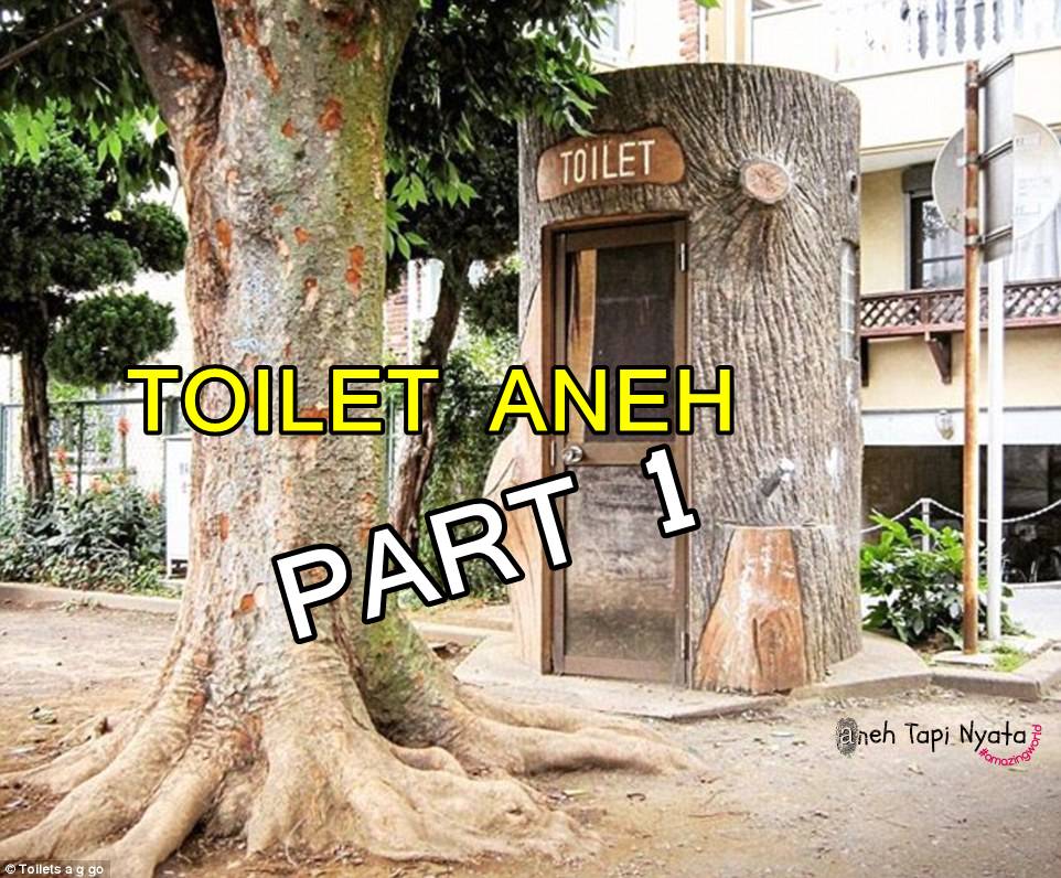 Inikah Toilet Paling Aneh di Dunia? Part 1 Berita Aneh Tapi Nyata™ 