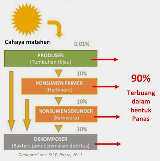 ALIRAN ENERGI / TRANSFER ENERGI BIOSMADA