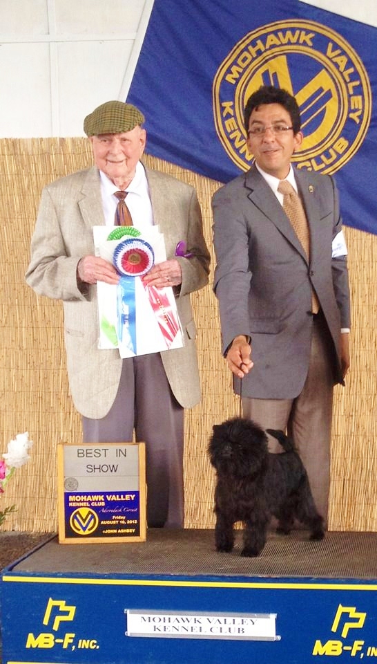 DOG SHOW POOP 20120805