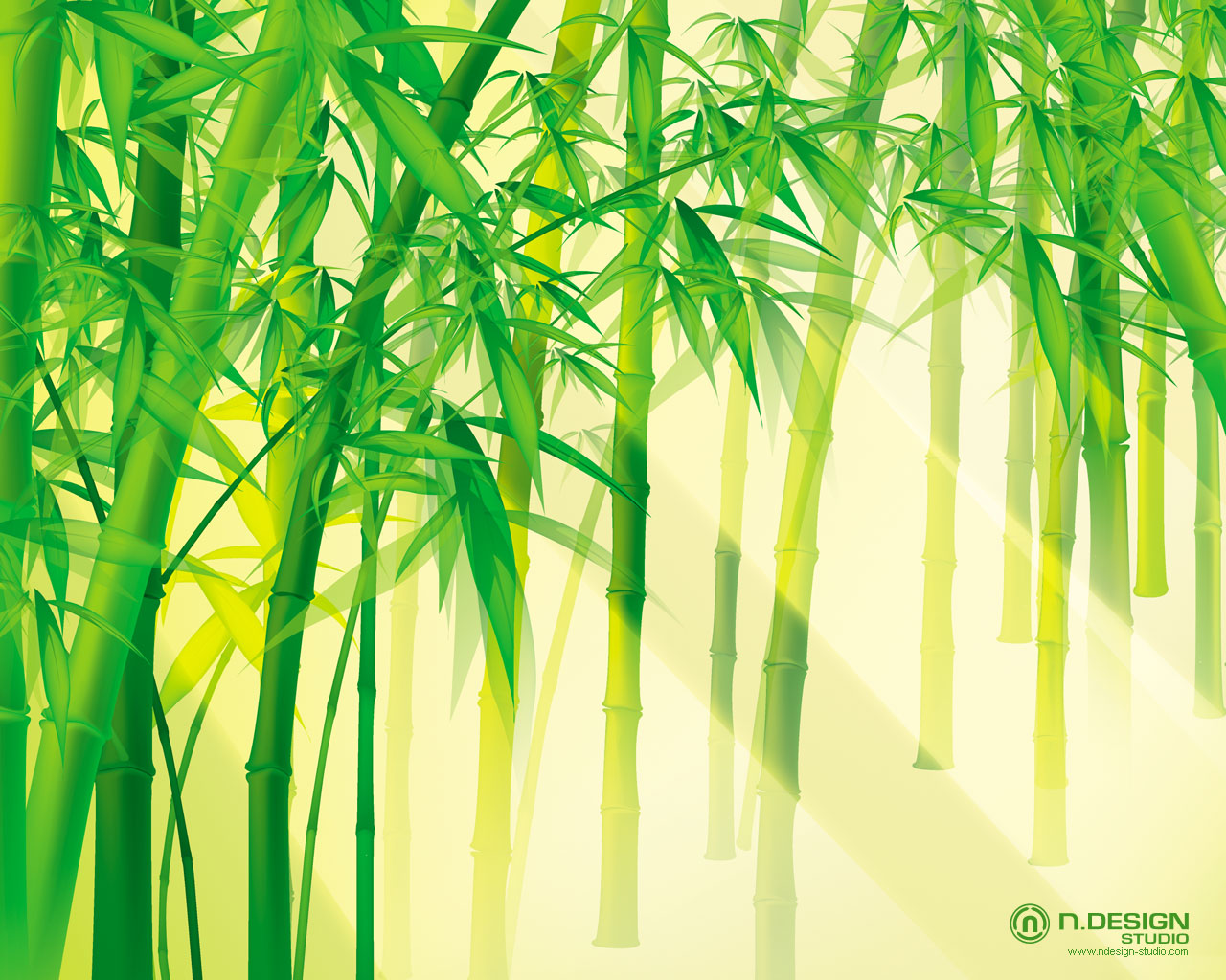 new wallpaper 2011: Bamboo Wallpaper