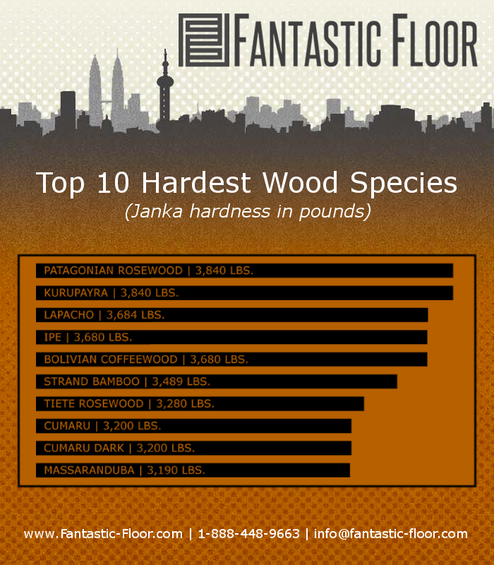 Fantastic Floor March 2018, Most Durable Hardwood Floors