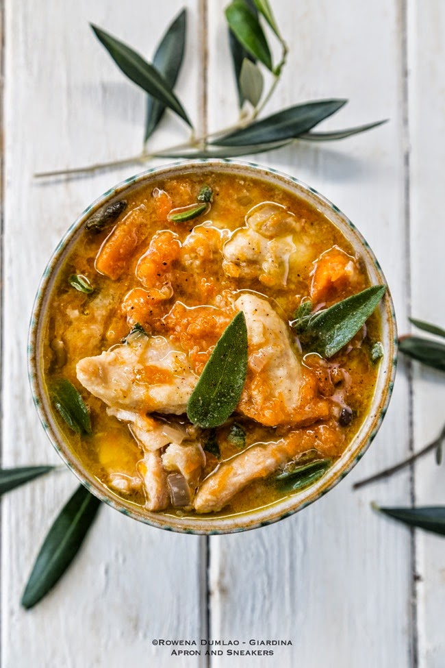 Slow Cooker Chunky Squash and Chicken Stew