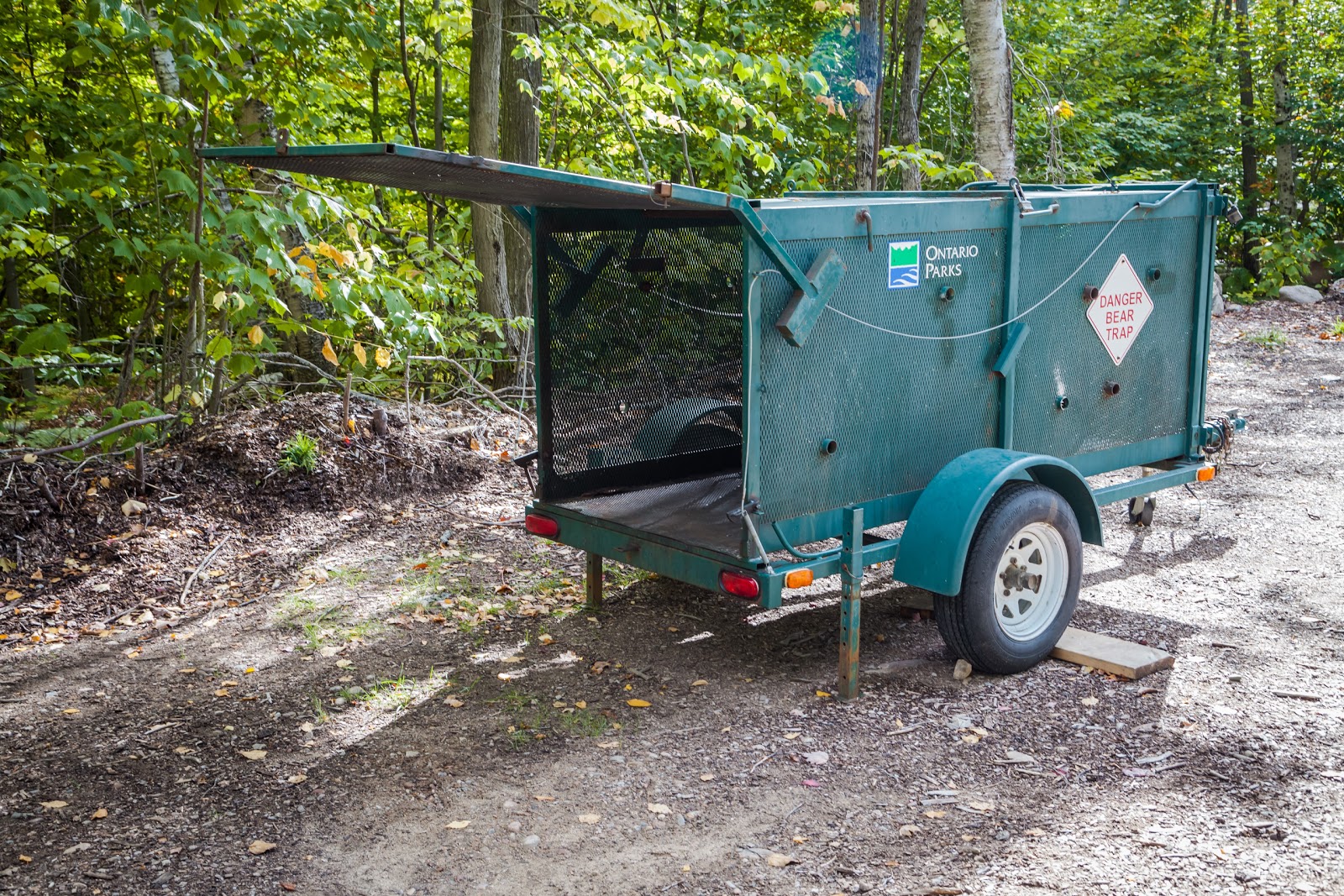 30,000 Islands of Bay The Largest Freshwater Archipelago