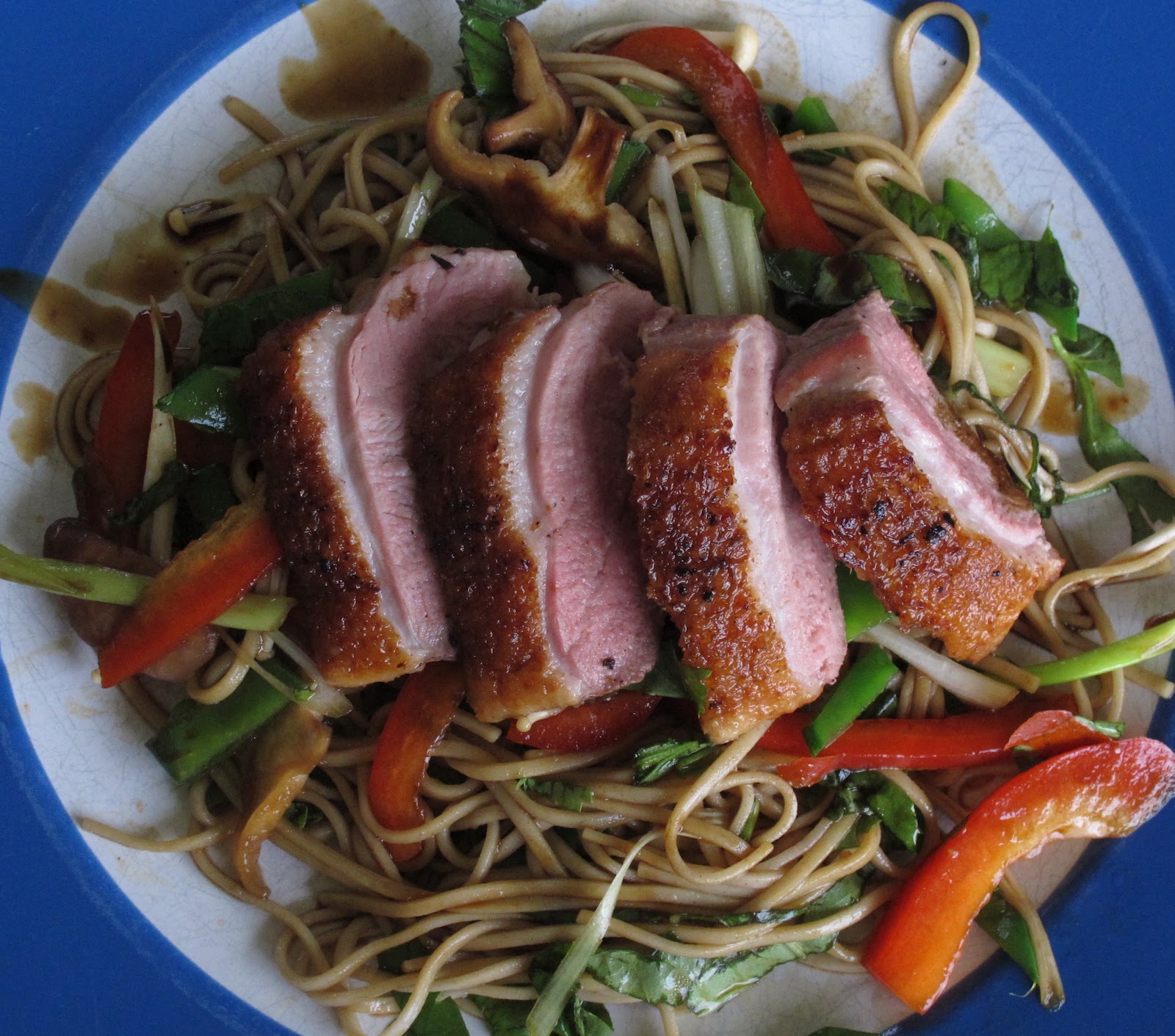 muppys Chai Smoked Duck Breast on Soba Noodle Salad