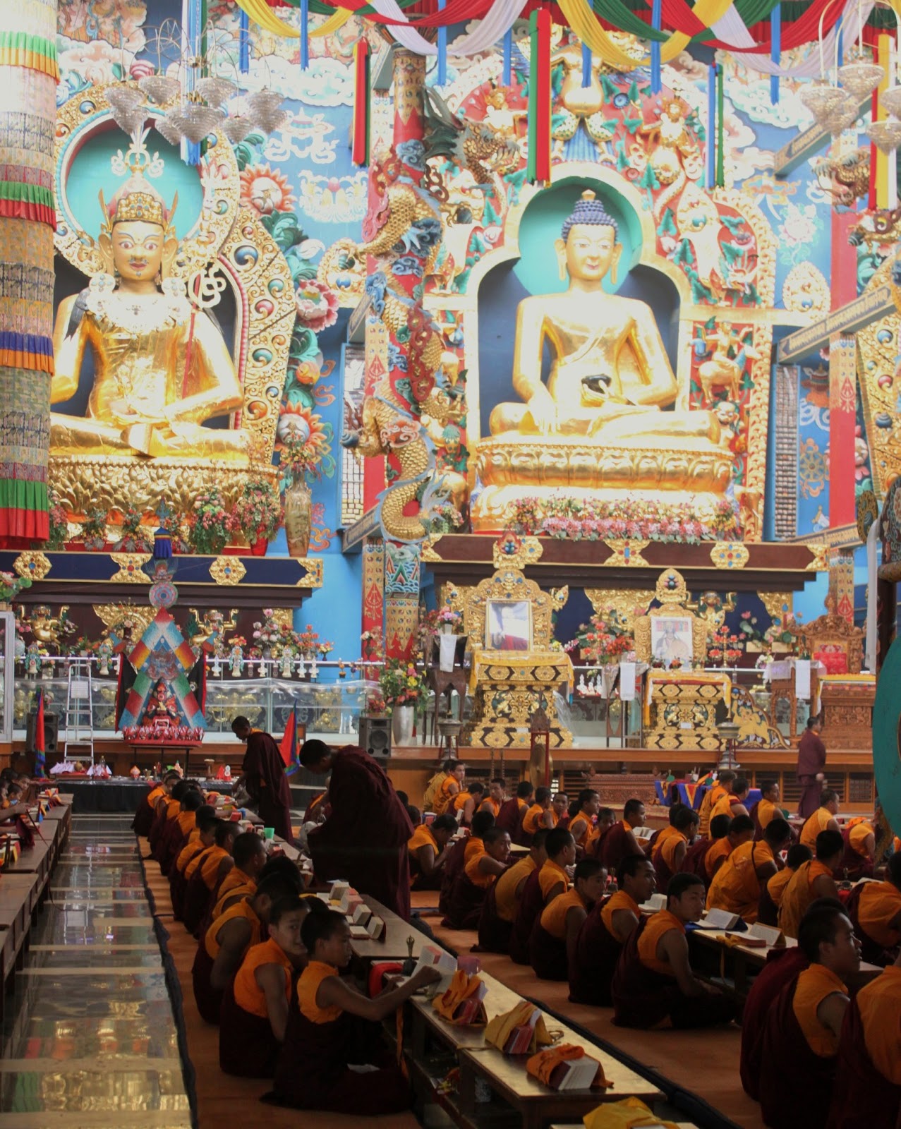 Yoga Mama: Tibetan Monks in Bylakuppe, India