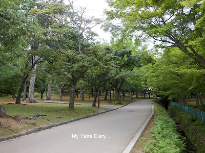 The Nara Park walkway