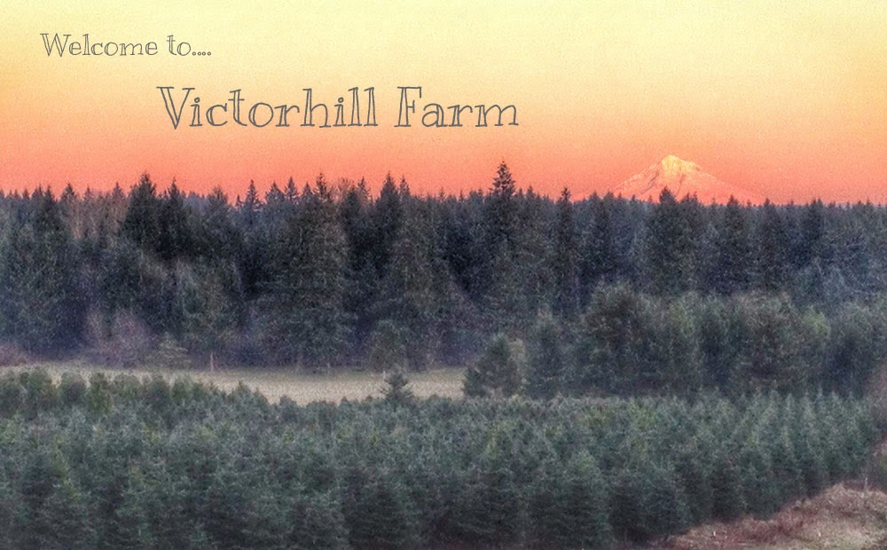 Victorhill Farm Beavercreek Oregon