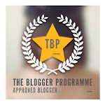 The blogger programme