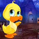Games4King Cub Duck Rescu…