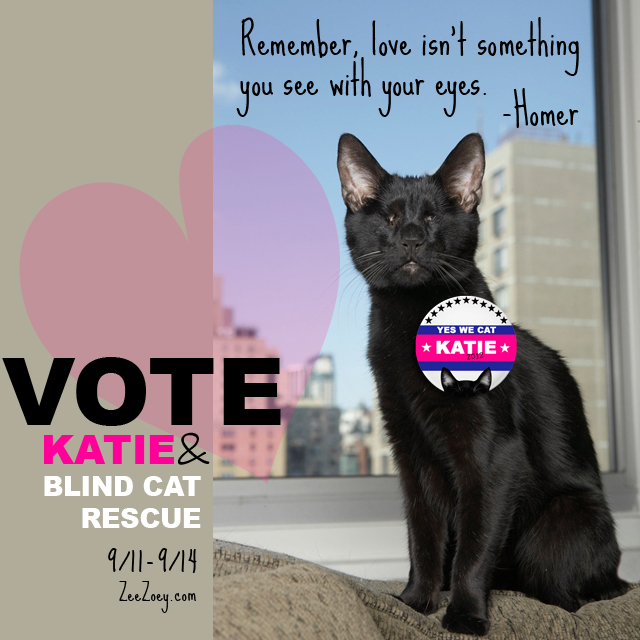 GLOGIRLY NVR Miss Litter Box Giveaway Cat Ruler Of The World Edition!