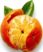 Mandarina Foto de la mandarina - Fruta cítrica