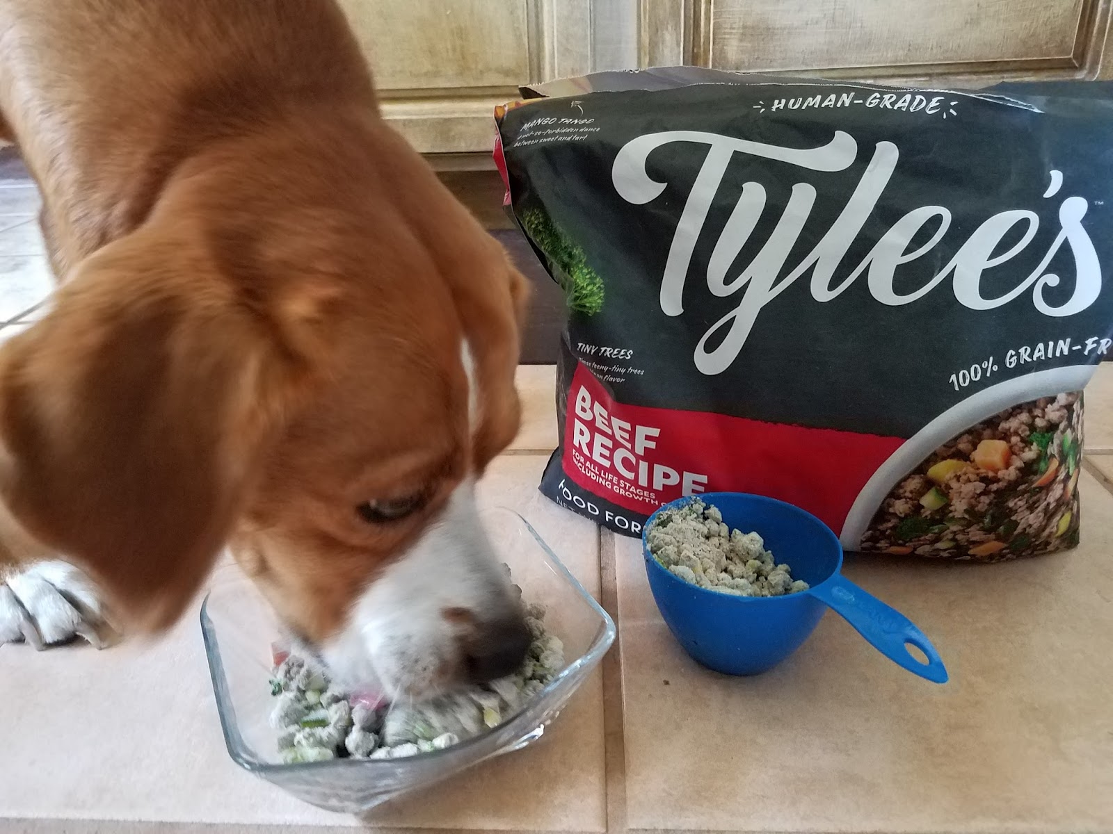 Tylee S Beef Recipe Human Grade Dog Food Tylee S Beef Recipe Human Grade Dog Food