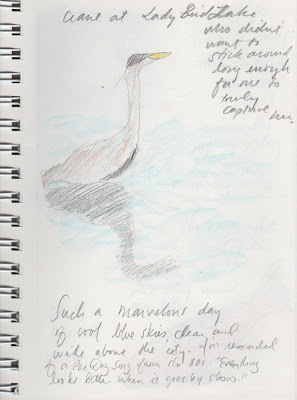 David Borden sketch at Lady Bird Lake