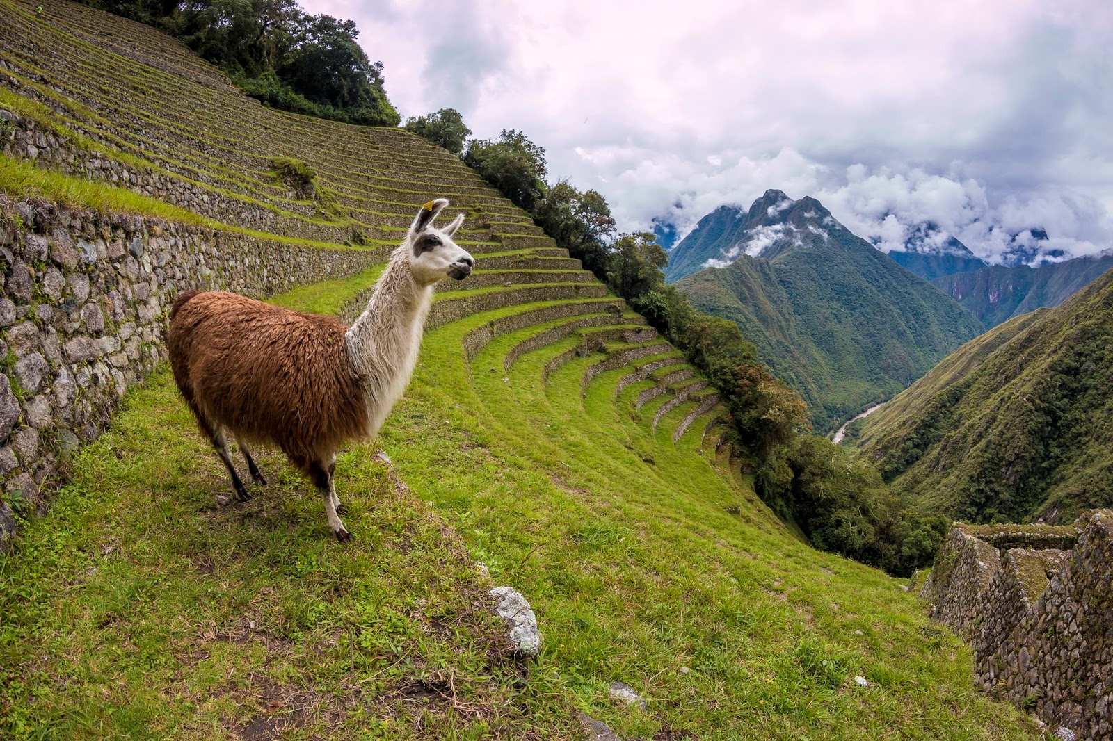 How To Visit Machu Picchu And The Rainbow Mountain Peru The Endless