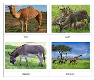 54 Koleksi Gambar Binatang Pemakan Tumbuhan Gratis Terbaru