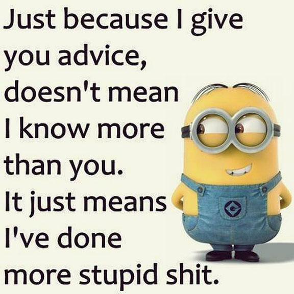 Top 15 Funny Minion Quotes of the Day | Just Viral Pictures