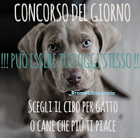 Gioca e vinci gratis 25 euro di cibo per cane o gatto Logo Gioca e vinci gratis 25 euro di cibo per cane o gatto