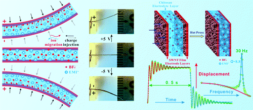 pdf chasing the dead