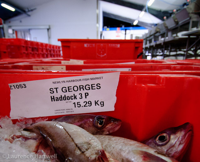 Through the Gaps! Newlyn Fishing News Monday's fresh fish course Cornwall UK fish commercial