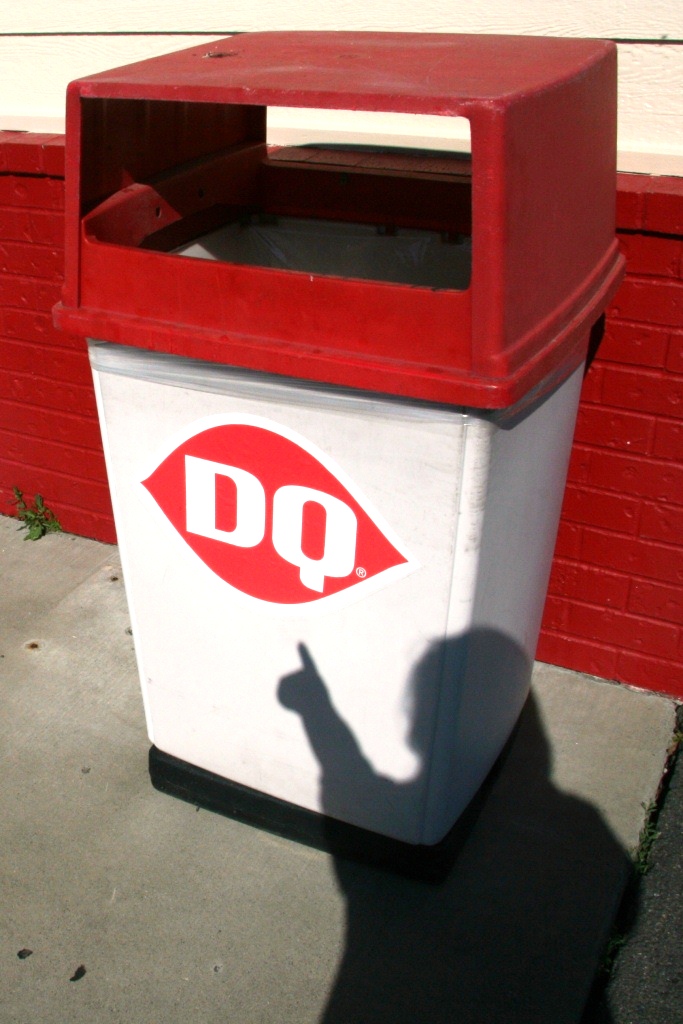 The Life of a Tree We Love Dairy Queen!