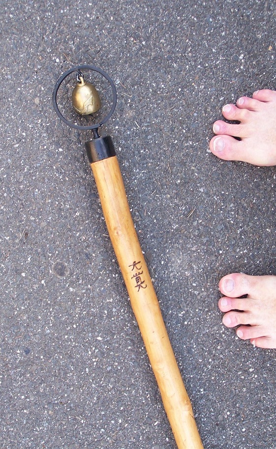 GENKAKUAGAIN (adam fisher) walking stick