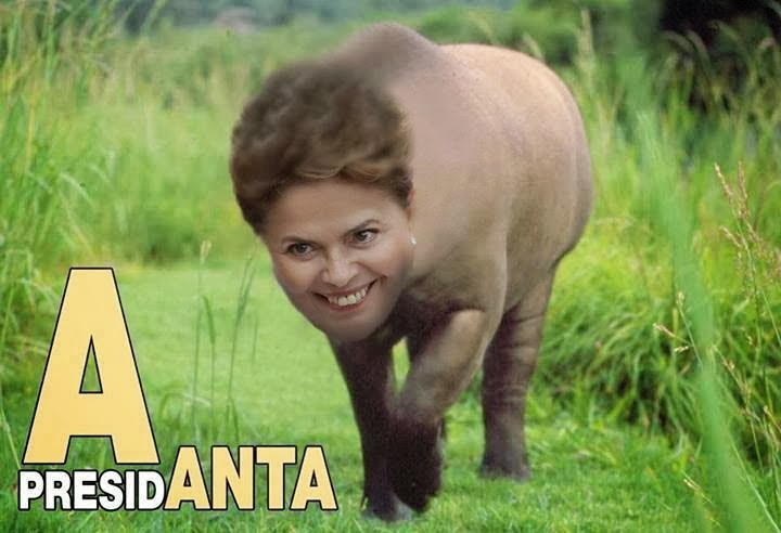 dilama-anta.jpg