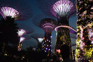 Garden by the bay singapore