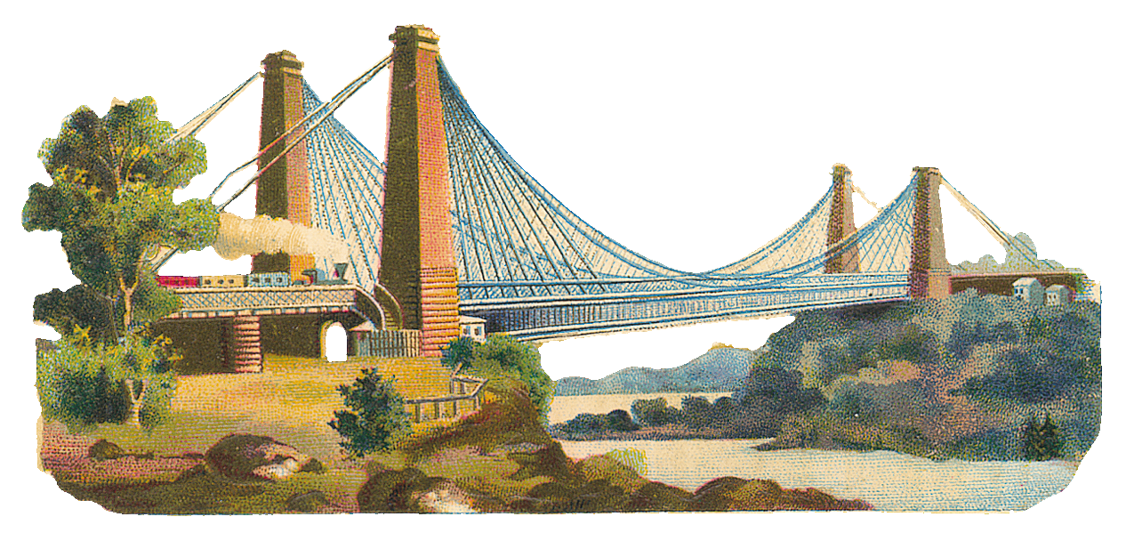 Everything is OhWayCool Suspension Bridge