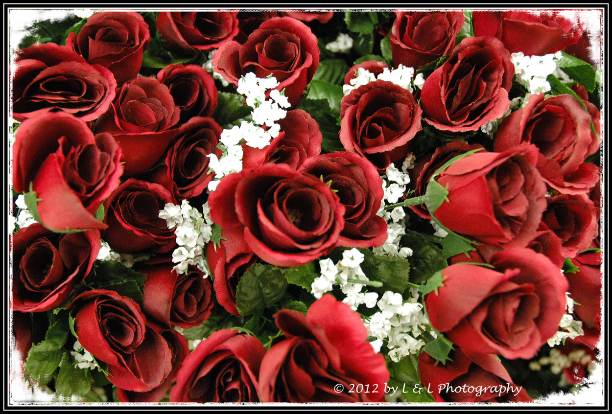 Images The Art of Photography Roomful of Roses