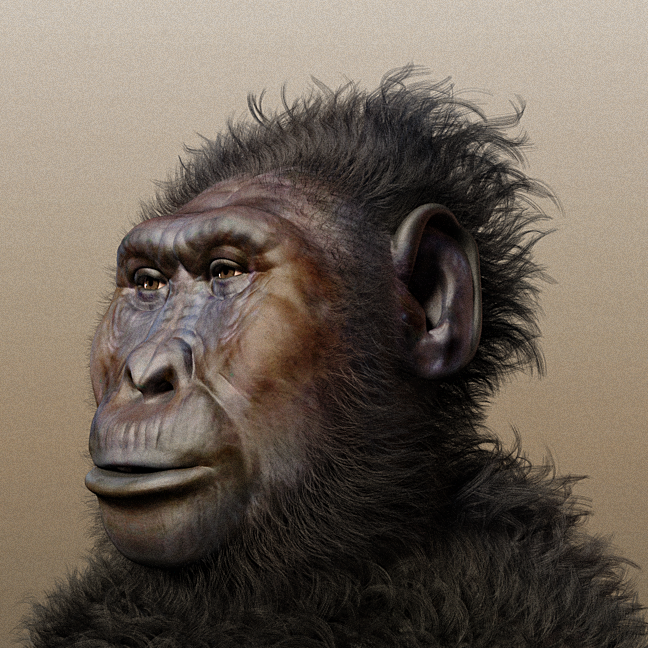 Gambar Manusia Purba Di Afrika – denah