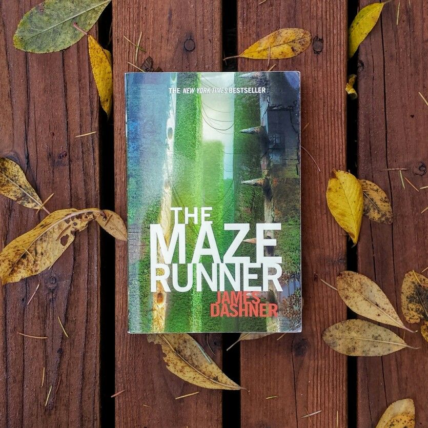 MAZE RUNNER BOOK REVIEW The Diary of a Reader