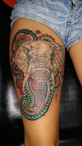 O elefante que vai em um transe