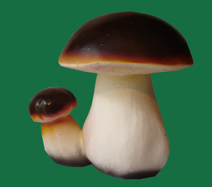 Боровик луговой. Дети боровика. Белый гриб боровик на белом фоне. Боровик. Гриб боровик для детей.