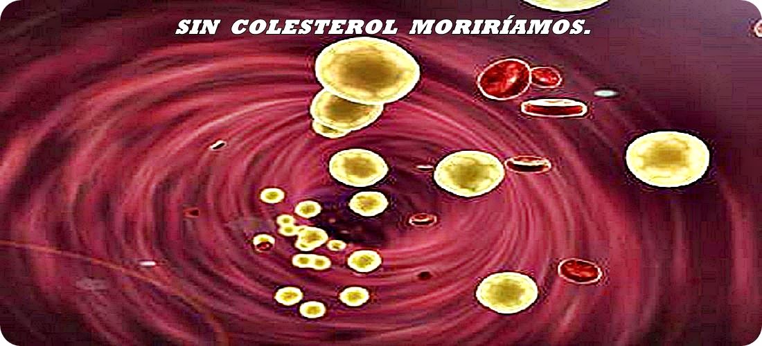 La deficiencia de colesterol ocasiona problemas de salud. colesterol