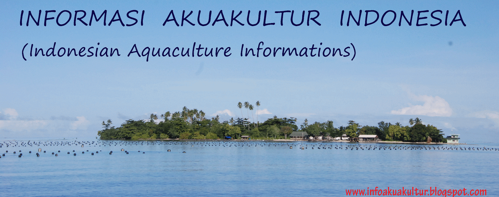 Informasi Perikanan Budidaya Indonesia (Indonesian Aquaculture Informations)