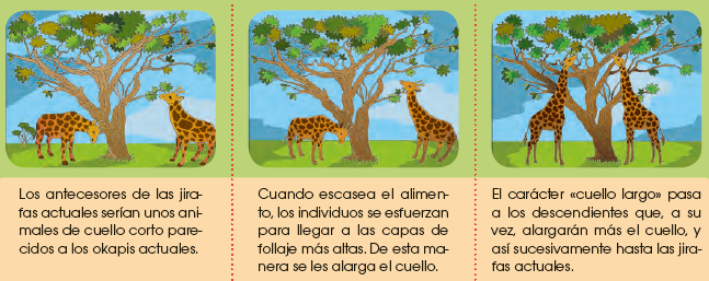 El lamarckismo Tu Tarea Gratis