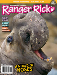Ranger Rick magazine, published by the National Wildlife Federation