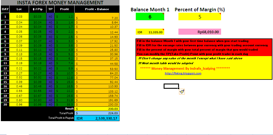 Binary money management excel sheet